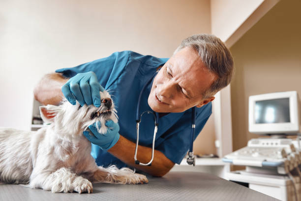 Best 24-Hour Emergency Dentist in Cookeville, TN